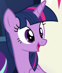 Size: 405x475 | Tagged: safe, screencap, twilight sparkle, alicorn, pony, g4, spice up your life, female, mare, solo, twilight sparkle (alicorn)