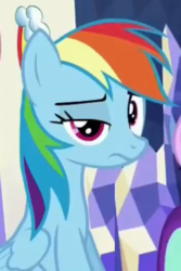 Size: 276x414 | Tagged: safe, edit, screencap, rainbow dash, g4, spice up your life, unimpressed