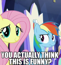 Size: 547x576 | Tagged: safe, edit, edited screencap, screencap, fluttershy, rainbow dash, g4, spice up your life, image macro, meme, reaction image, text