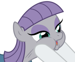Size: 3653x3000 | Tagged: safe, artist:ambassad0r, maud pie, rarity, g4, spoiler:comic, .svg available, high res, offscreen character, simple background, squishy cheeks, transparent background, vector