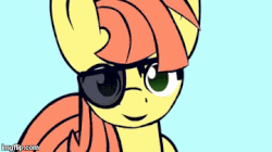Size: 360x202 | Tagged: safe, artist:viva reverie, oc, oc only, animated, canadian horse pirates, headbob, immatoonlink, solo