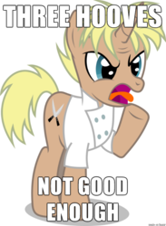 Size: 610x832 | Tagged: safe, g4, spice up your life, gordon ramsay, image macro, meme, ponified