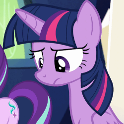 Size: 500x501 | Tagged: safe, screencap, starlight glimmer, twilight sparkle, alicorn, pony, g4, spice up your life, animated, blinking, female, frown, solo focus, talking, twilight sparkle (alicorn)