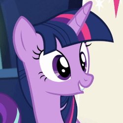 Size: 516x516 | Tagged: safe, screencap, starlight glimmer, twilight sparkle, alicorn, pony, g4, spice up your life, animated, cute, female, open mouth, smiling, solo focus, talking, twiabetes, twilight sparkle (alicorn)