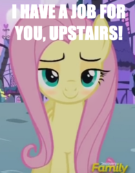 Size: 490x624 | Tagged: safe, edit, edited screencap, screencap, fluttershy, flutter brutter, g4, bedroom eyes, blushing, caption, i'll be waiting for you upstairs, image macro, meme, smugshy