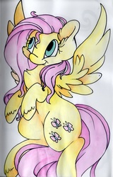 Size: 1888x2943 | Tagged: safe, artist:cutepencilcase, fluttershy, g4, female, flying, solo, traditional art, unshorn fetlocks