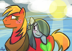 Size: 1024x727 | Tagged: safe, artist:vigasartroom, big macintosh, marble pie, earth pony, pony, g4, blushing, crepuscular rays, male, ship:marblemac, shipping, stallion, straight