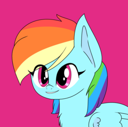 Size: 1716x1700 | Tagged: safe, artist:php76, rainbow dash, g4, chest fluff, female, ms paint, pink background, simple background, solo, speedpaint available