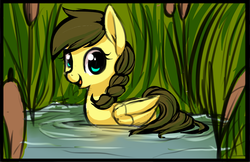Size: 956x618 | Tagged: safe, artist:starshinebeast, oc, oc only, oc:nemsee, pegasus, pony, adorable face, cattails, cute, diabetes, female, mare, pegaduck, reeds, sketch, solo, swimming