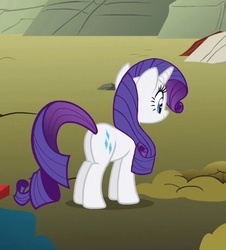 Size: 397x439 | Tagged: safe, screencap, rarity, pony, a dog and pony show, g4, butt, cropped, female, mare, plot