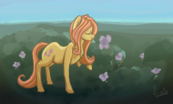 Size: 1024x620 | Tagged: safe, artist:cometakat, fluttershy, g4, female, flower, solo