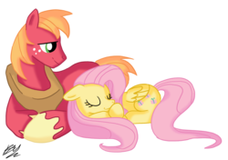 Size: 2207x1551 | Tagged: safe, artist:blackswhites, big macintosh, fluttershy, earth pony, pony, g4, male, ship:fluttermac, shipping, stallion, straight