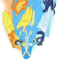 Size: 910x1024 | Tagged: safe, soarin', spitfire, pony, g4, clothes, cute, duo, female, flying, male, pair, ship:soarinfire, shipping, simple background, straight, tail, tail hole, uniform, white background, wing hole, wonderbolts uniform