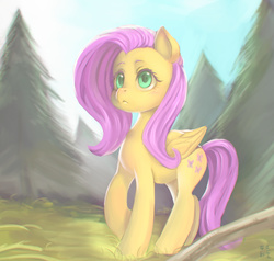 Size: 2327x2218 | Tagged: safe, artist:mrs1989, fluttershy, g4, female, forest, high res, solo