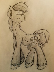 Size: 2448x3264 | Tagged: safe, artist:toothpastethy, big macintosh, earth pony, pony, g4, cutie mark, ear fluff, full body, grin, handsome, high res, looking up, male, negative space, shading, sketch, smiling, solo, stallion, traditional art