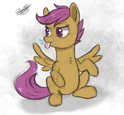 Size: 1300x1200 | Tagged: safe, artist:hypno, scootaloo, pegasus, pony, g4, colored sketch, female, solo, tongue out, wings