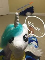 Size: 2448x3264 | Tagged: safe, princess celestia, princess luna, cat, g4, build-a-bear, high res, irl, moon, photo, plushie, tangible heavenly object