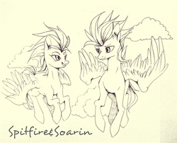 Size: 2264x1836 | Tagged: safe, artist:hawkfrost, soarin', spitfire, pony, g4, black and white, female, grayscale, male, monochrome, ship:soarinfire, shipping, straight, wonderbolts