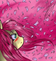 Size: 824x908 | Tagged: safe, artist:checkeredmarionette8, fluttershy, g4, female, petals, solo