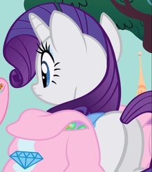 Size: 544x618 | Tagged: safe, screencap, rarity, parasprite, pony, unicorn, g4, swarm of the century, butt, cropped, female, mare, plot, saddle bag, solo