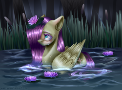 Size: 1500x1110 | Tagged: safe, artist:rappy-yum, fluttershy, g4, behaving like a duck, ear fluff, female, freckles, pegaduck, solo, water, waterlily, wet, wet mane