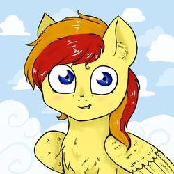 Size: 800x800 | Tagged: safe, artist:sapphire-kitty, oc, oc only, oc:firebolt, pegasus, pony, solo