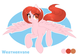 Size: 1339x950 | Tagged: safe, artist:silkensaddle, oc, oc only, oc:weathervane, pegasus, pony, flying, reference sheet, solo, spread wings