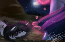 Size: 2048x1344 | Tagged: safe, artist:scarlett-letter, twilight sparkle, oc, oc:scarlett letter, alicorn, pony, g4, alicorn oc, injured, moon, night, offscreen character, stars, stone