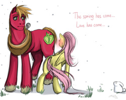 Size: 1024x819 | Tagged: safe, artist:crazysonyathechaos, big macintosh, fluttershy, earth pony, pony, rabbit, g4, butt, male, plot, ship:fluttermac, shipping, sketchy, stallion, straight