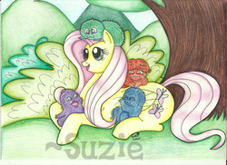 Size: 2338x1700 | Tagged: safe, artist:suzie-chan, fluttershy, bushwoolie, pegasus, pony, g1, g4, female, g1 to g4, generation leap, mare