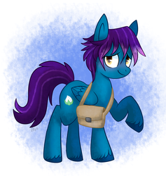 Size: 1823x1924 | Tagged: safe, artist:saber-panda, oc, oc only, oc:calyx, pegasus, pony, saddle bag, solo, unshorn fetlocks