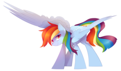 Size: 2358x1389 | Tagged: safe, artist:raponee, rainbow dash, pony, g4, female, large wings, looking at you, mare, simple background, solo, spread wings, transparent background, white outline, wings