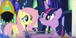 Size: 639x319 | Tagged: safe, artist:mlp-captions, screencap, fluttershy, twilight sparkle, alicorn, pony, g4, the hooffields and mccolts, discovery family logo, meme, twilight sparkle (alicorn), youtube caption