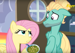 Size: 709x507 | Tagged: safe, screencap, fluttershy, zephyr breeze, pegasus, pony, flutter brutter, g4, alphabet soup, can you spare a dime?, discovery family logo, female, food, get a job, hilarious in hindsight, male, mare, soup, spongebob squarepants, stallion