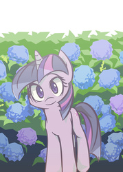 Size: 800x1119 | Tagged: safe, artist:tyuubatu, twilight sparkle, g4, cute, female, flower, hydrangea, mare, solo, twiabetes