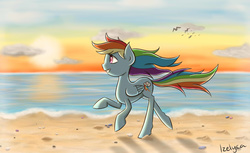 Size: 2000x1223 | Tagged: safe, artist:izelyca, rainbow dash, pony, g4, beach, female, solo, sunset