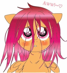 Size: 558x608 | Tagged: safe, artist:chibi-cat-girl101, artist:pinkamena-chan, scootaloo, pony, g4, blushing, cute, cutealoo, female, heart, solo