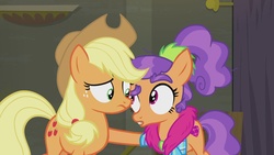 Size: 1920x1080 | Tagged: safe, screencap, applejack, plaid stripes, pony, g4, the saddle row review, eye contact, raised eyebrow