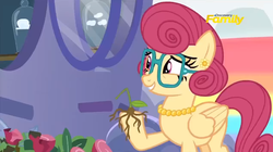 Size: 1274x715 | Tagged: safe, screencap, posey shy, pony, flutter brutter, g4, discovery family logo, female, solo