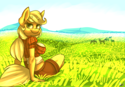 Size: 1400x980 | Tagged: safe, artist:ogaraorcynder, applejack, earth pony, anthro, g4, big breasts, breasts, busty applejack, clothes, female, field, midriff, shorts, solo