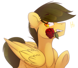 Size: 1024x898 | Tagged: safe, artist:starlyfly, oc, oc only, pegasus, pony, dialogue, flower, flower in mouth, mouth hold, rose, simple background, solo, transparent background