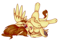 Size: 2601x1822 | Tagged: safe, artist:ruef, oc, oc only, oc:katya ironstead, alicorn, hybrid, original species, pony, sphinx, alicorn oc, bellyrubs, colored, cute, diabetes, fangs, female, floppy ears, looking at you, ocbetes, on back, paw pads, paws, simple background, solo, species swap, sphinx oc, sphinxified, spread legs, spread wings, spreading, transparent background, underpaw, wink