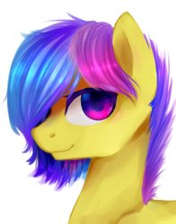 Size: 940x1200 | Tagged: safe, artist:n0m1, oc, oc only, oc:phyra, bust, colored pupils, male, portrait, solo, stallion