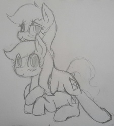 Size: 1529x1690 | Tagged: safe, artist:anearbyanimal, earth pony, pony, epona, female, mare, monochrome, pencil drawing, ponified, the legend of zelda, traditional art