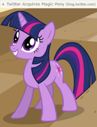 Size: 600x783 | Tagged: safe, twilight sparkle, g4, barely pony related, meta, pun, twitter