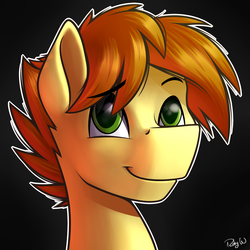 Size: 2000x2000 | Tagged: safe, artist:rubywave32, mandopony, g4, high res, solo