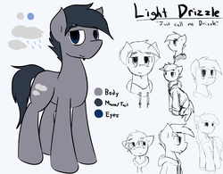 Size: 3303x2577 | Tagged: safe, artist:candel, oc, oc only, oc:light drizzle, earth pony, pony, clothes, coat, high res, hoodie, male, reference sheet, sketch, solo, stallion, tired