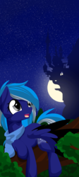 Size: 1920x4296 | Tagged: safe, artist:xsidera, oc, oc only, canterlot, moon, night, solo