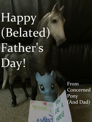 Size: 540x720 | Tagged: safe, horse, bootleg, card, concerned pony, father's day, irl, moustache, nightmare fuel, photo, toy