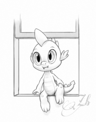 Size: 1607x2024 | Tagged: safe, artist:zheymrossblue, spike, g4, male, monochrome, solo, window